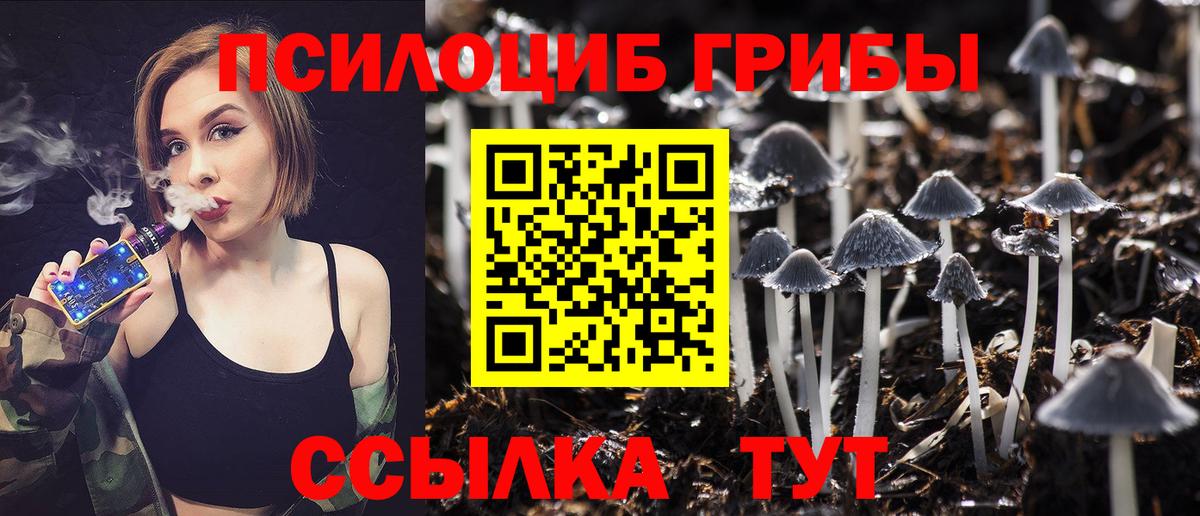 Вятские Поляны  Псилоцибиновые грибы ЛСД  Вход с VPN 