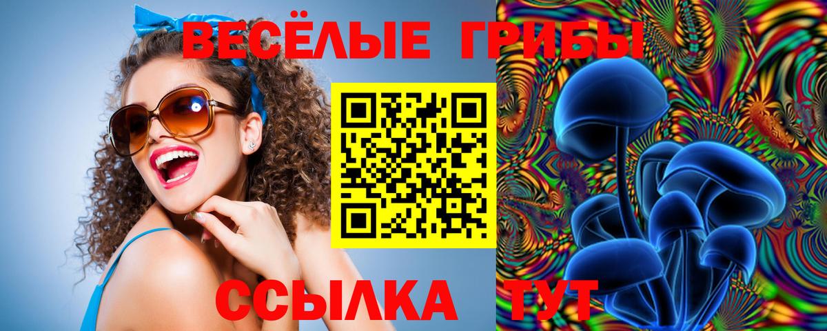 Псилоцибиновые грибы прущие грибы Вятские Поляны